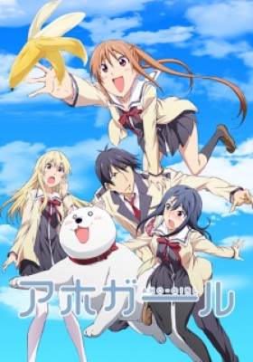 Aho Girl - AHO